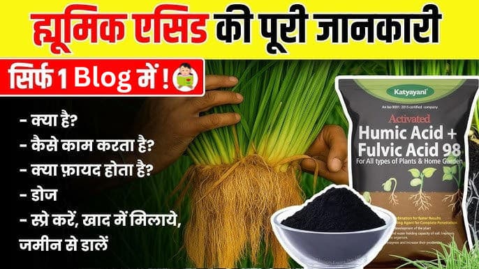 Best Humic Acid for Plants: ह्यूमिक एसिड क्या है? उपयोग, फायदे और स्प्रे डोज (Complete Guide)