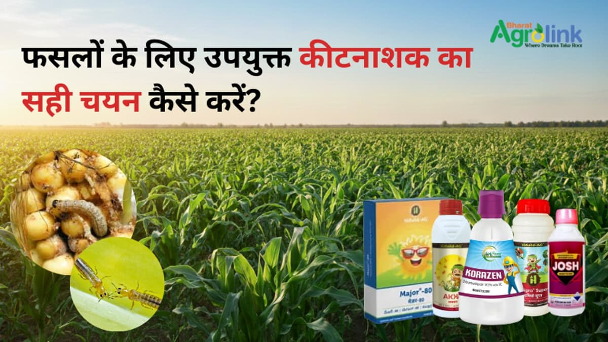 फसलों के लिए उपयुक्त कीटनाशक का सही चयन कैसे करें?
