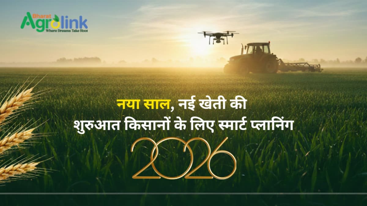 नया साल, नई खेती की शुरुआत किसानों के लिए स्मार्ट प्लानिंग
