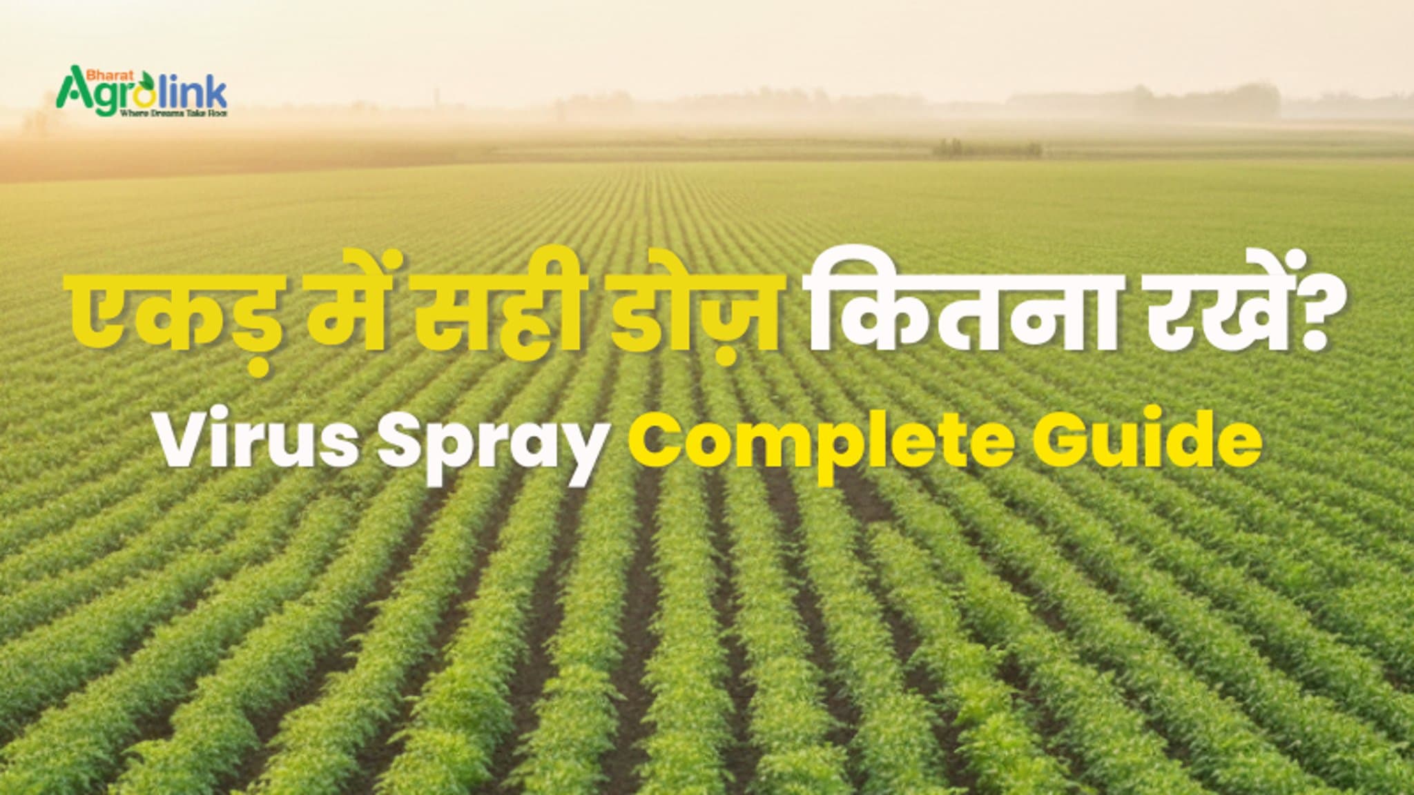 एकड़ में सही डोज़ कितना रखें? | Virus Spray Complete Guide